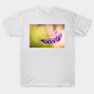 Dramatic view of lavender T-Shirt